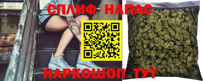 гидра Сланцы
